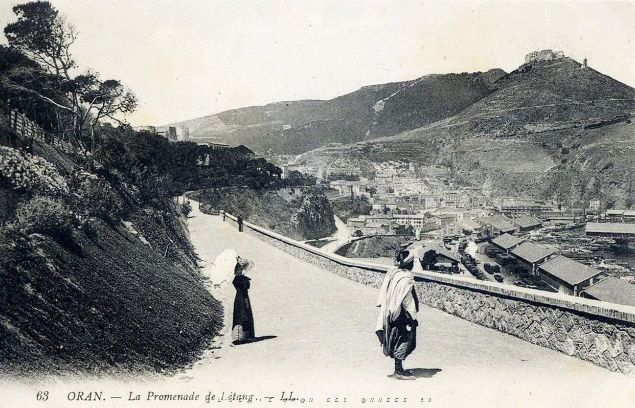 Images d'Algerie 360.jpg